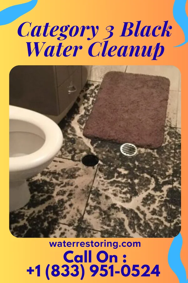 Category 3 Black Water Cleanup in Norwood Court, MO