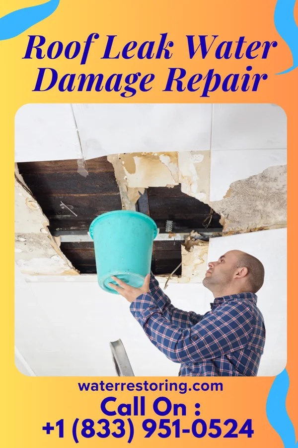 Roof Leak Water Damage Repair in Norwood Court, MO