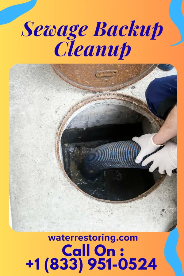Sewage Backup Cleanup in Norwood Court, MO