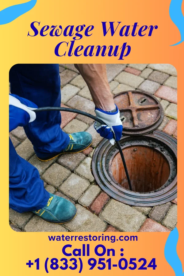 Sewage Water Cleanup in Norwood Court, MO
